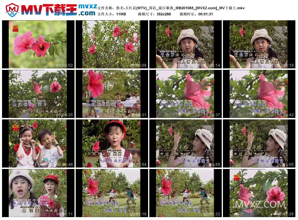 佚名-大红花(MTV)_国语_流行歌曲_MB201065